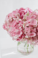 Pastel Fresh Cut Flowers en Masse