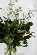 Locally Grown Foliage