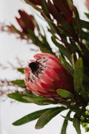 Earth Fresh Cut Flowers en Masse