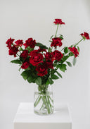 Jewel Fresh Cut Flowers en Masse