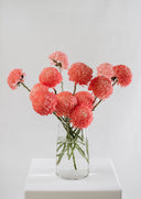 Bright Fresh Cut Flowers en Masse