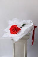 Single Red Rose in Box