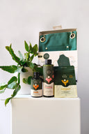 Houseplant Lover's Set