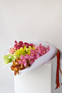 Cymbidium Orchids en Masse