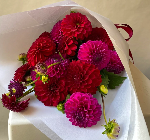 LOCAL LOVE~ Dahlias