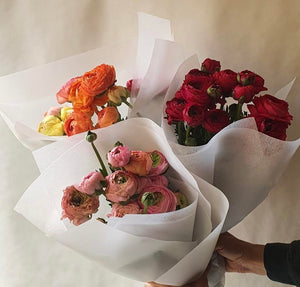 LOCAL LOVE~ RANUNCULUS