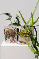 Plant Lover Set