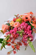 Bright Daily Bunch